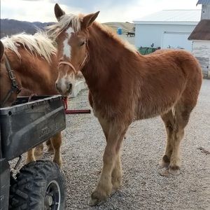 Meet your Posher, Sara